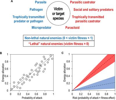 An Integrated Landscape of Fear and Disgust: The Evolution of Avoidance Behaviors Amidst a Myriad of Natural Enemies